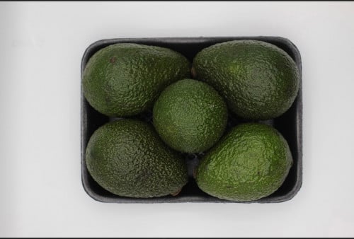 أفوكادو أمريكي