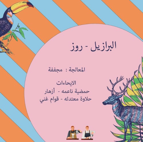 برازيل روز - كرمله | Rose