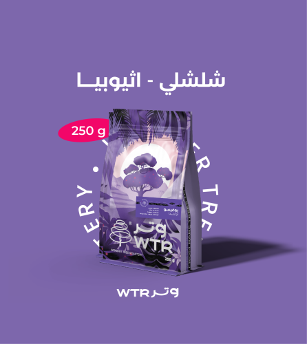 شلشلي اثيوبيا - وتر | Chelchele