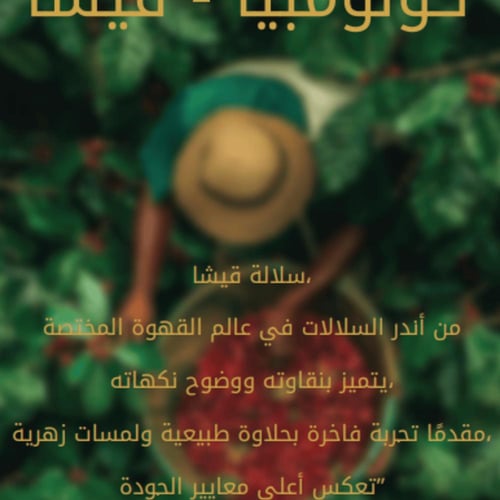 كولومبيا قيشا - التون | Gisha