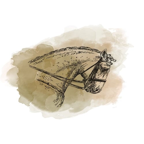 كولومبيا اروقيت - مصنع القهوة | Arrogate