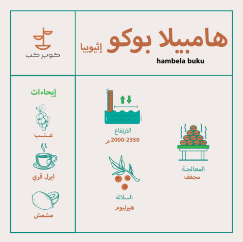 اثيوبيا همبيلا - كوبر كب | Hambela