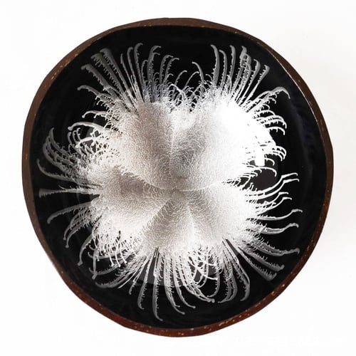 وعاء جوز الهند زخرفة داخلية لجمع البن و وزنه | 95...