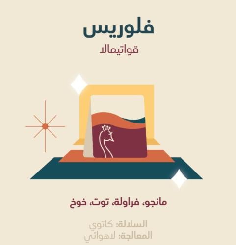 غواتيمالا فلوريس - بيكوك | Flores