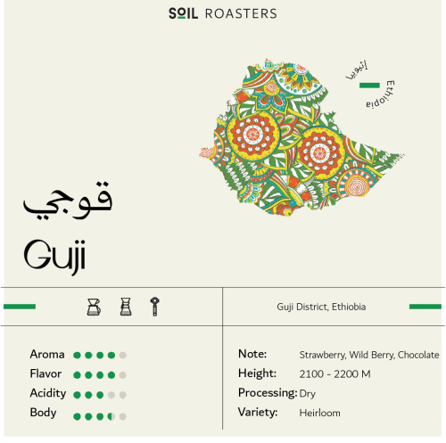 اثيوبيا قوجي - سويل | Guji