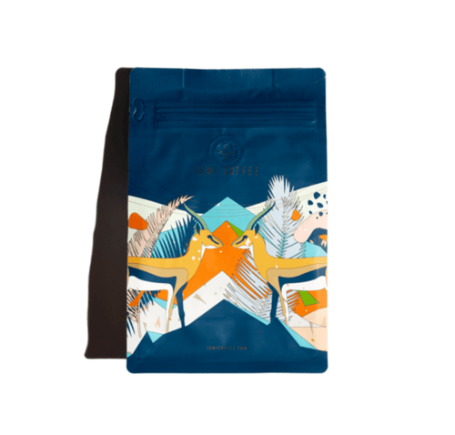 اثيوبيا بيلويا - ادمي | Biloya