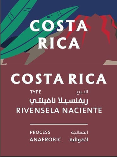 اظرف مكس - دريب اون | Mix