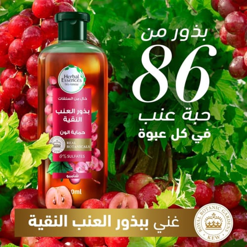 هيربل إيسنس شامبو شعر بزيت بذور العنب حماية اللون...