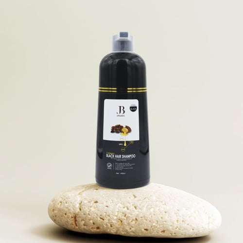 شامبو صبغة الشيب بزيت الارغان من جي بي 3 في1 400 م...