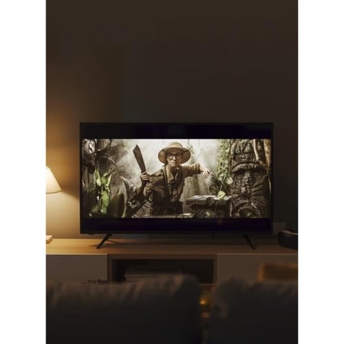 دانسات شاشة ذكية 65 بوصة - أندرويد 13 - بدقة 4K -...