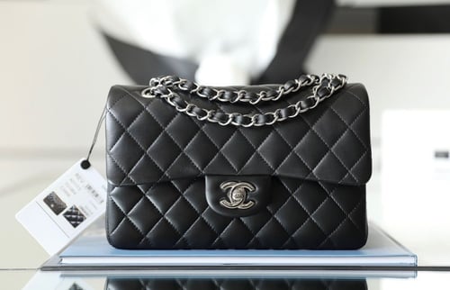 فلاب باق 23 سم