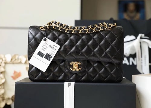 فلاب باق 25.5 سم