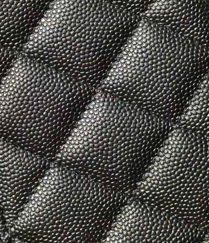 شانيل 19.5 سم