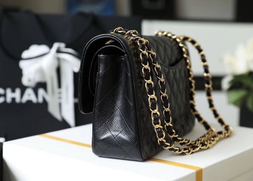 فلاب باق 25.5 سم