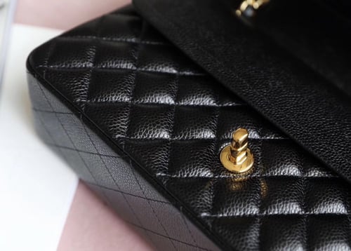 فلاب باق 25.5 سم