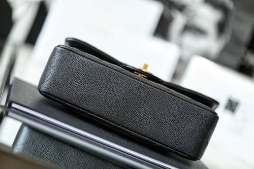 فلاب باق 23 سم