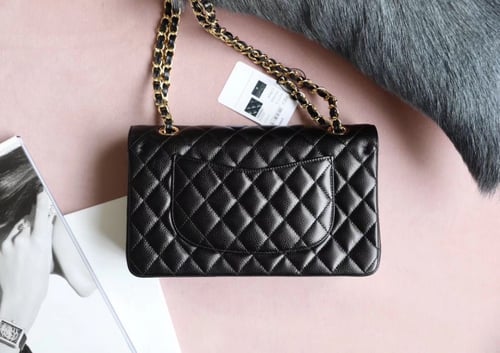 فلاب باق 25.5 سم