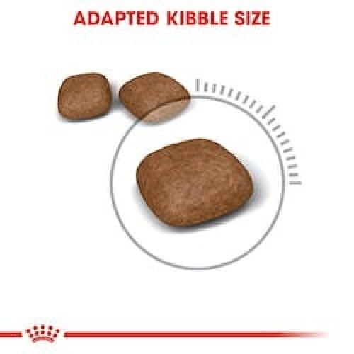 رويال كانين طعام جاف للعناية بالمسالك البولية للقط...