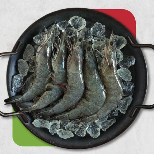Shrimps H/On 10/20 - جمبري كامل