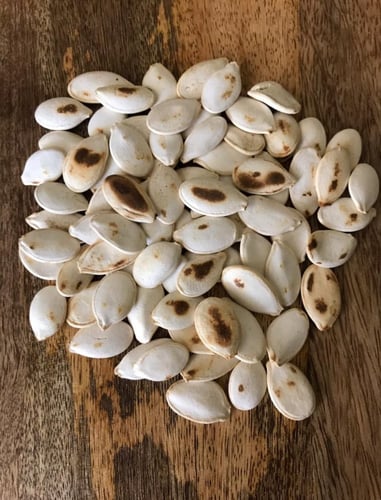 حب قرع - مقمر - حب قرع مقمر