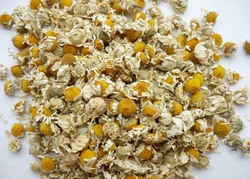زهرة البابونج - زهرة البابونج المجففة