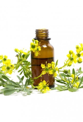 زيت الشذاب الطبيعي 100 مل - فوائد صحية وجمالية