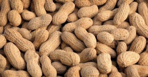 فول سوداني بالقشرة - فول سوداني طبيعي