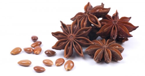 زهرة اليانسون - زهرة اليانسون النجمي