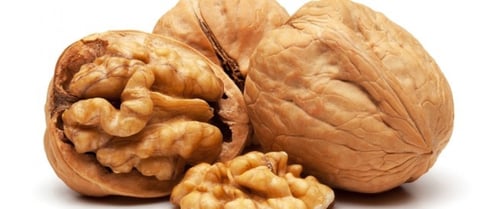 جوز عين الجمل - جوز عين الجمل الطبيعي