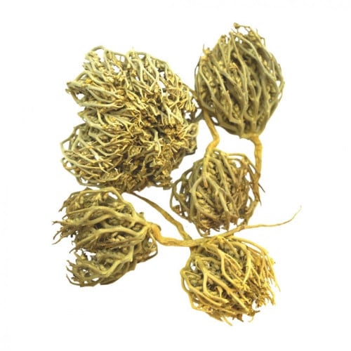 كف مريم - كف مريم فوائد