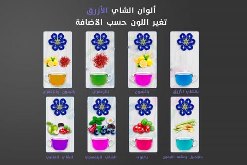 الشاي الازرق ذات الوان طبيعية - الشاي الأزرق الطبي...