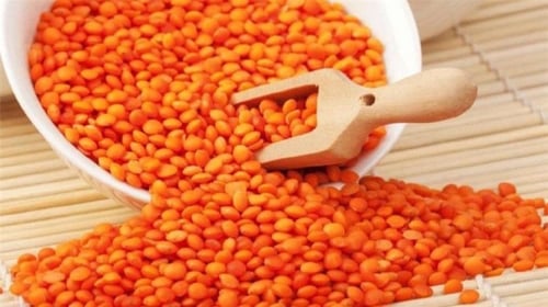 عدس احمر - عدس أحمر غني