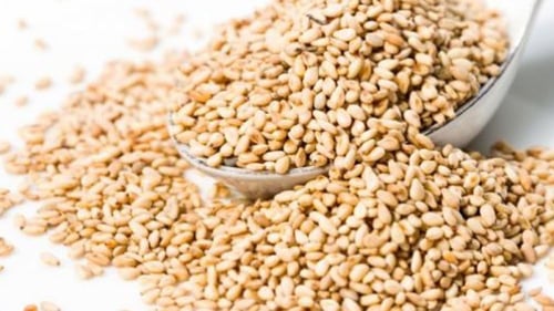 سمسم محمص - نئ - سمسم محمص صحي