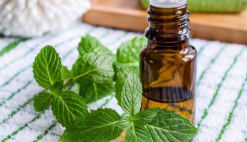زيت النعناع الطبيعي المركز - 100 مل من بُذور