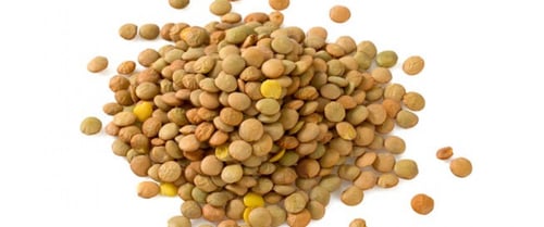 عدس اخضر - عدس أخضر طبيعي