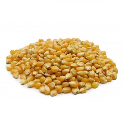 فشار ( ذرة ) - فشار طبيعي 100%