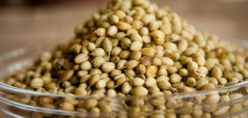 كزبره - كزبرة سورية ممتازة