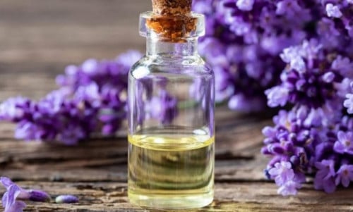 زيت اللافندر الطبيعي - عصره طبيعي 100 مل