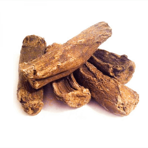 قسط هندي - قسط هندي عضوي