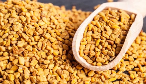 حلبه درجة اولى - حلبة طبيعية 100%