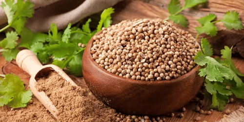 كزبره - كزبرة سورية ممتازة