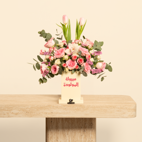 فازة مولودة