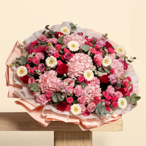 بوكية لايدن - حجم كبير