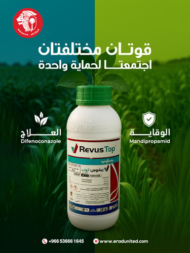ريفوس توب 500 إس سي (1لتر)