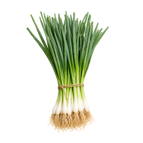 Bunching onion Bunching star F1 (100000 seed)