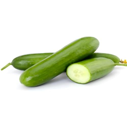 خيار سيمونا هجين (500 بذرة)