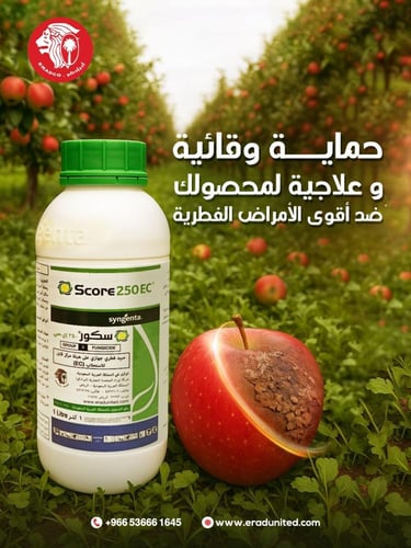 سكور 250 أي سي (1لتر)