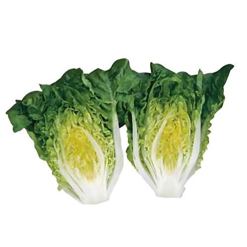 خس نادر (50 غم)