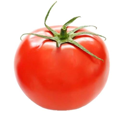 طماطم عرين باكت (5000 بذرة)