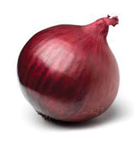 بصل أحمر مونسترل هجين (100 ألف بذرة)